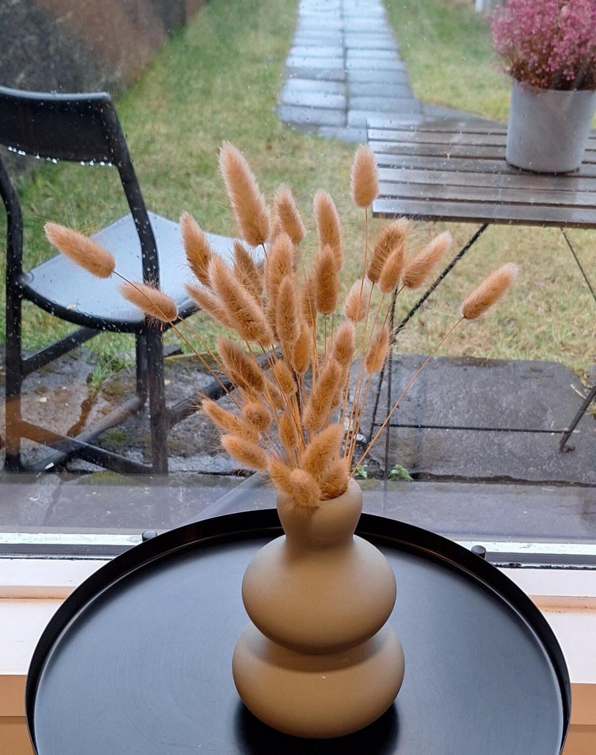 Central Reykjavik - Garden Cottage 외부 사진