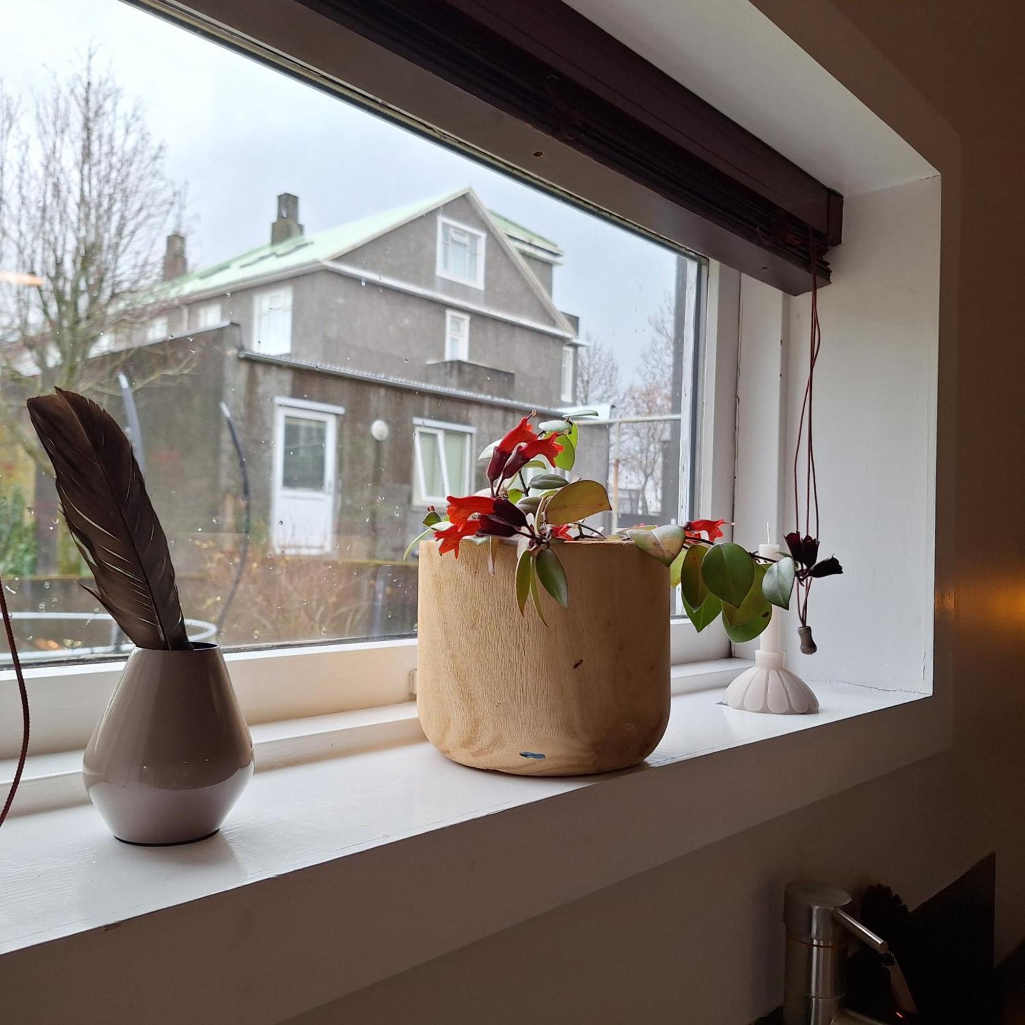 Central Reykjavik - Garden Cottage 외부 사진